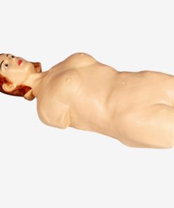 GENERAL DOCTOR Manikin Auskultasi Palpasi GD/Z980A