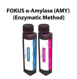 FOKUS ALPHA -AMYLASE (AMY/ENZYMATIC) 50ML