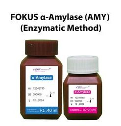 FOKUS ALPHA -AMYLASE (AMY/ENZYMATIC)