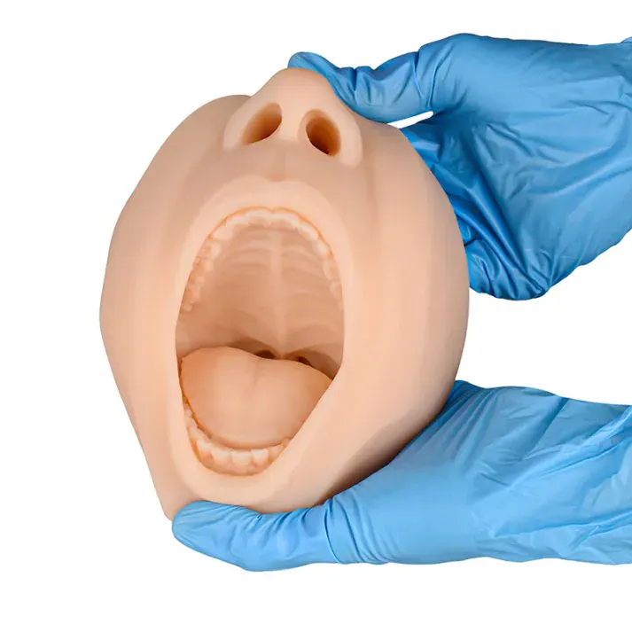 PENGERTIAN DAN FITUR THROAT SWAB TRAINING MODEL