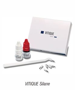 VITIQUE Silane