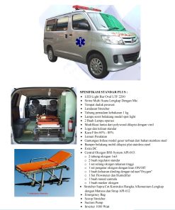 AMBULAN / AMBULANCE TRANSPORT STANDAR PLUS API DAIHATSU LUXIO X