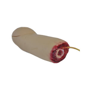 ARM HAEMORRHAGE AMPUTATED MODULE