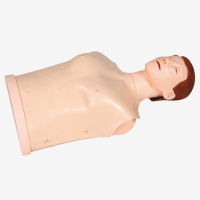 GD/CPR10170 HALF-BODY CPR TRAINING MANIKIN