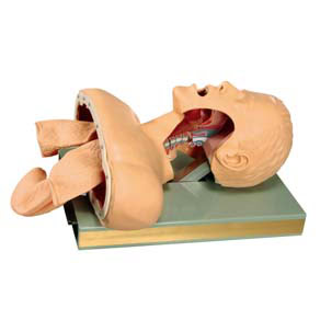 GD/J50 AIRWAY INTUBATION SIMULATOR