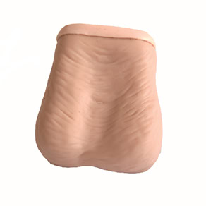 GD/L59 TESTIS EXAMINATION MODEL