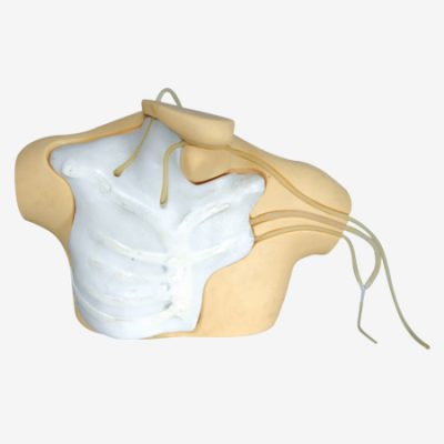 GD/L69B CENTRAL VENOUS CATHETERIZATION SIMULATOR