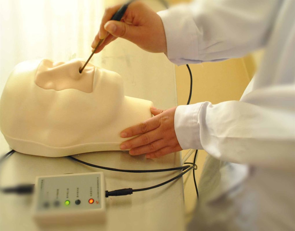 GDLV17 ADVANCED NASAL HEMORRHAGE SIMULATOR