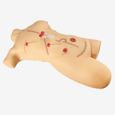 GD/LV18 SURGICAL NURSING SKILLS SIMULATOR