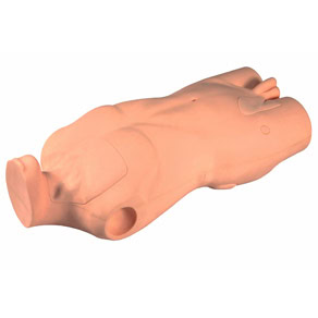 KETAHUI TENTANG GD/L69A IV TORSO SIMULATOR