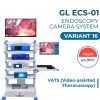 GERLINK + LOGO GL ECS 01 VARIAN 16- VIDEO ASSISTED THORACOSCOPY (VATS)
