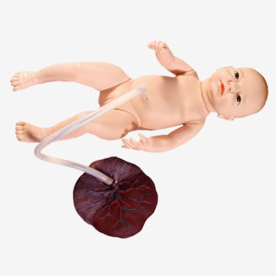 KETAHUI TENTANG GD/H132 NEWBORN UMBILICAL CORD NURSING MODEL
