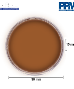 CHOCOLATE AGAR BASE