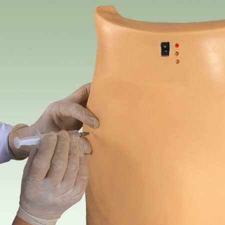 KETAHUI TENTANG GD/HS10A ELECTRONIC INTRAMUSCULAR INJECTION BUTTOCKS