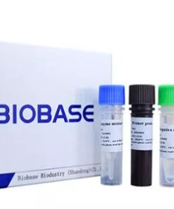 Novel Coronavirus (2019-nCoV) Nucleic Acid Detection Kit (Fluorescence PCR)