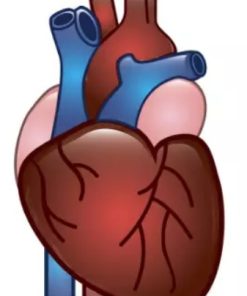 Myocardium Zymogram Items: Reagen Biokimia Klinis Terpercaya