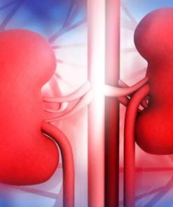 Reagen Fungsi Ginjal Klinis: 10+ Item Tes Lengkap