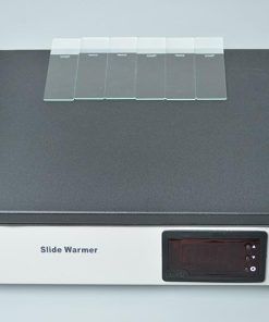 Mesin Slide Pemanas Patologis Jaringan Laboratorium Penghangat Slide Jaringan