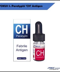 FOKUS S. Paratyphi CH Antigen