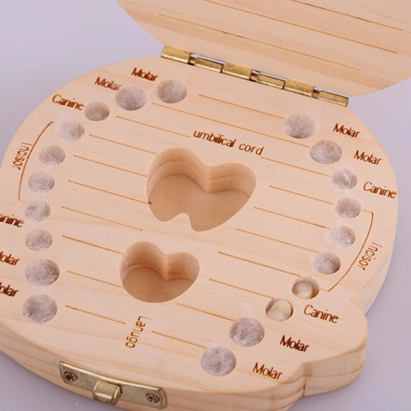 MENGENAL ALAT BOX FOR MILK TEETH 1 MENGENAL ALAT BOX FOR MILK TEETH