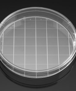 Falcon® 150mm TC-Treated Cell Culture Dish Grid 20mm