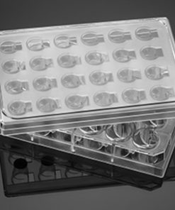 Cell Culture Vessels type 351158