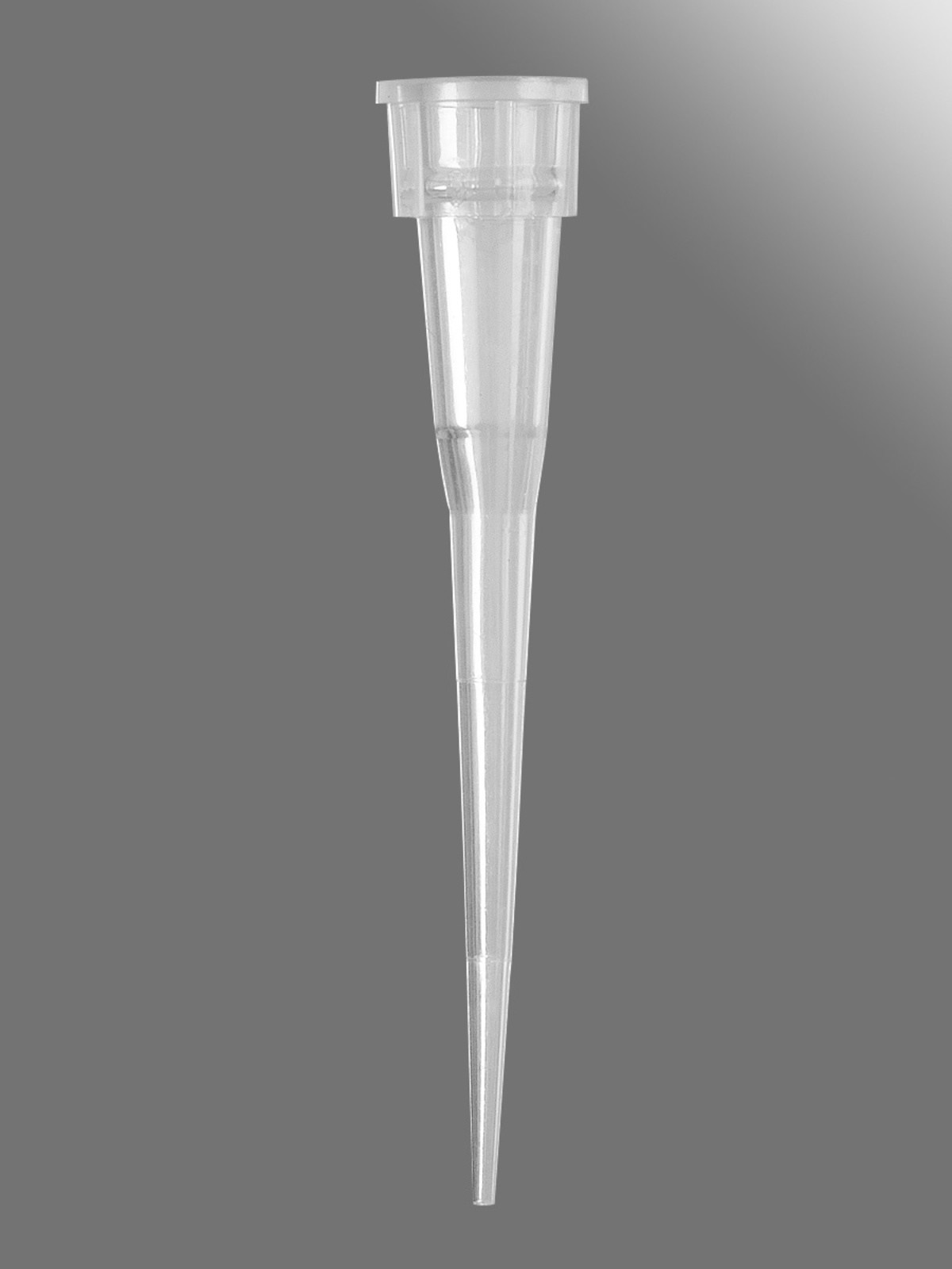 product.zoom.1200 (31) |