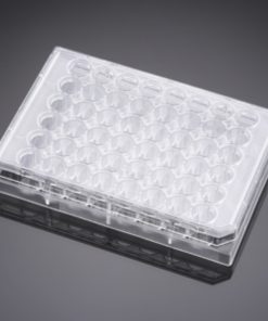 Cell Culture Vessels TYPE 351178