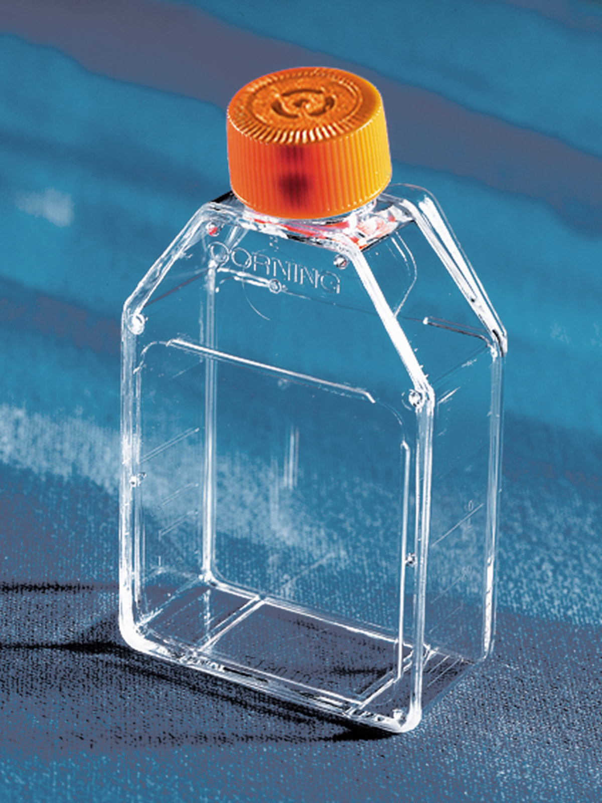 product.zoom.1200 (41) |