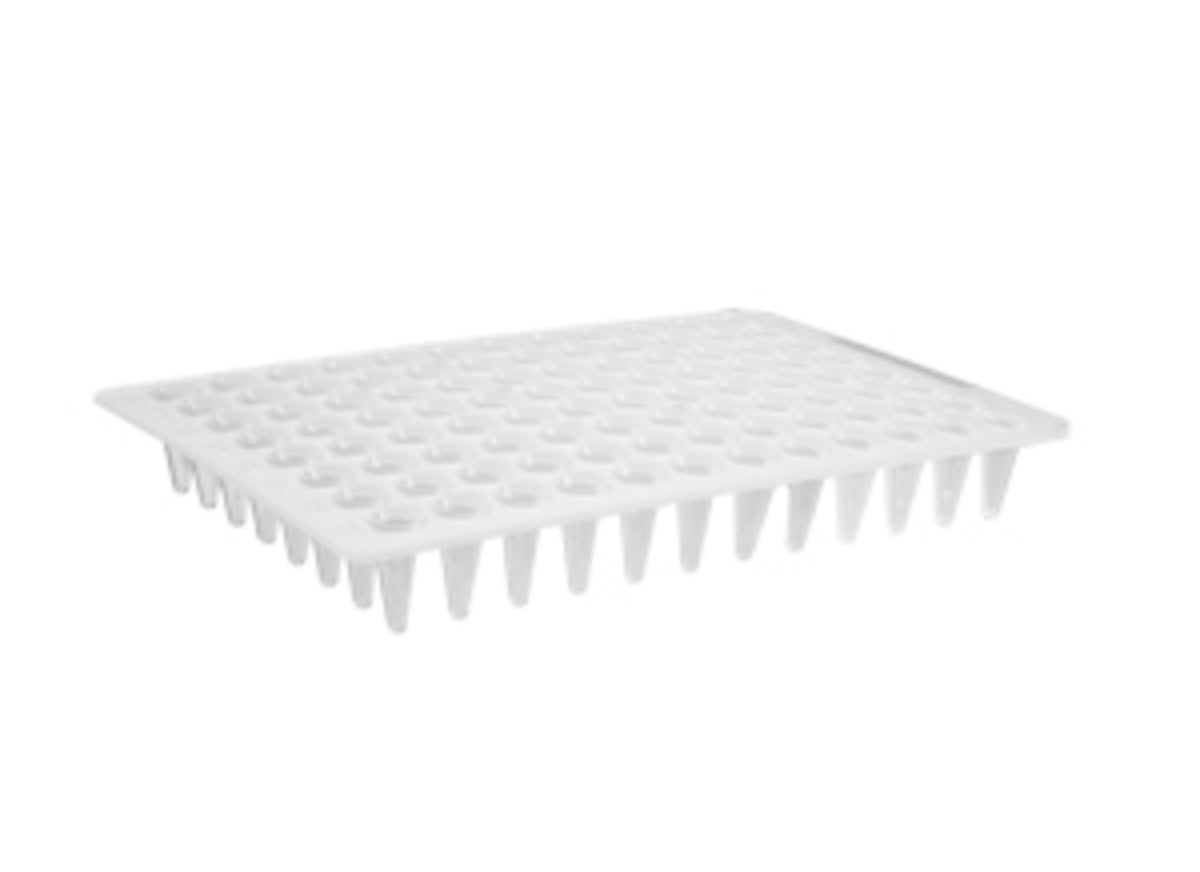 product.zoom.1200 (56) |