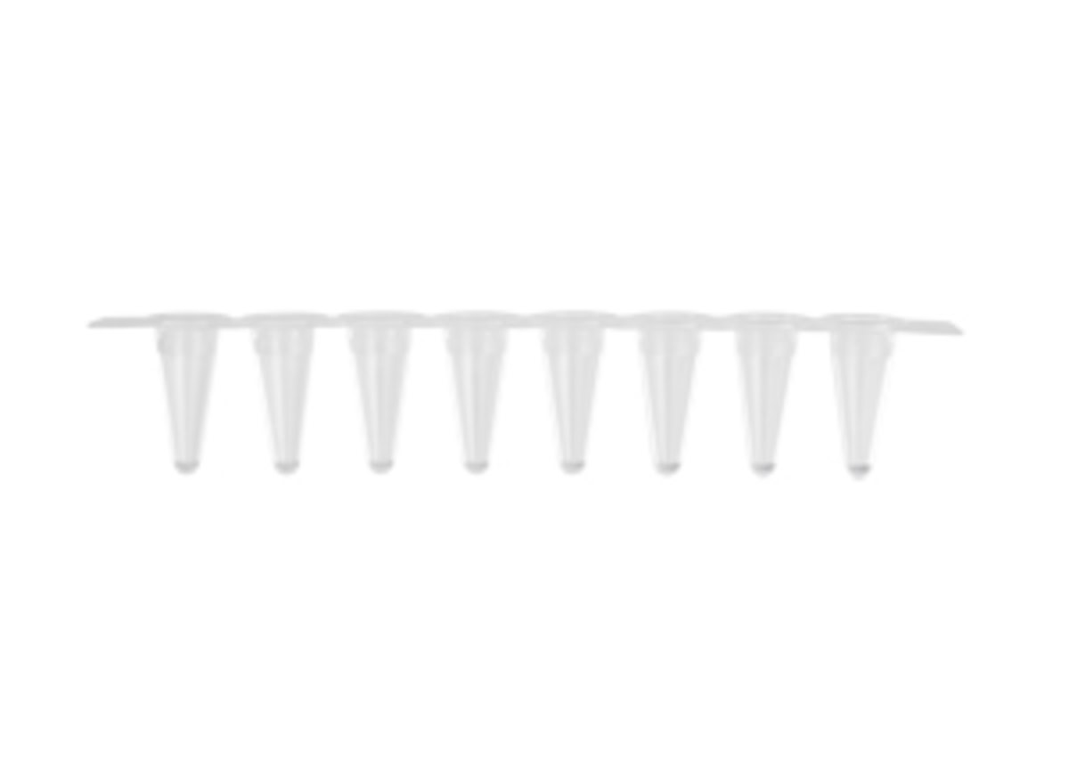 product.zoom.1200 (58) |