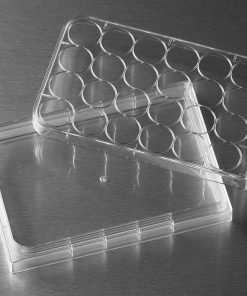 HTS Transwell®-24 Clear Sterile Reservoir - Alat Kultur Sel
