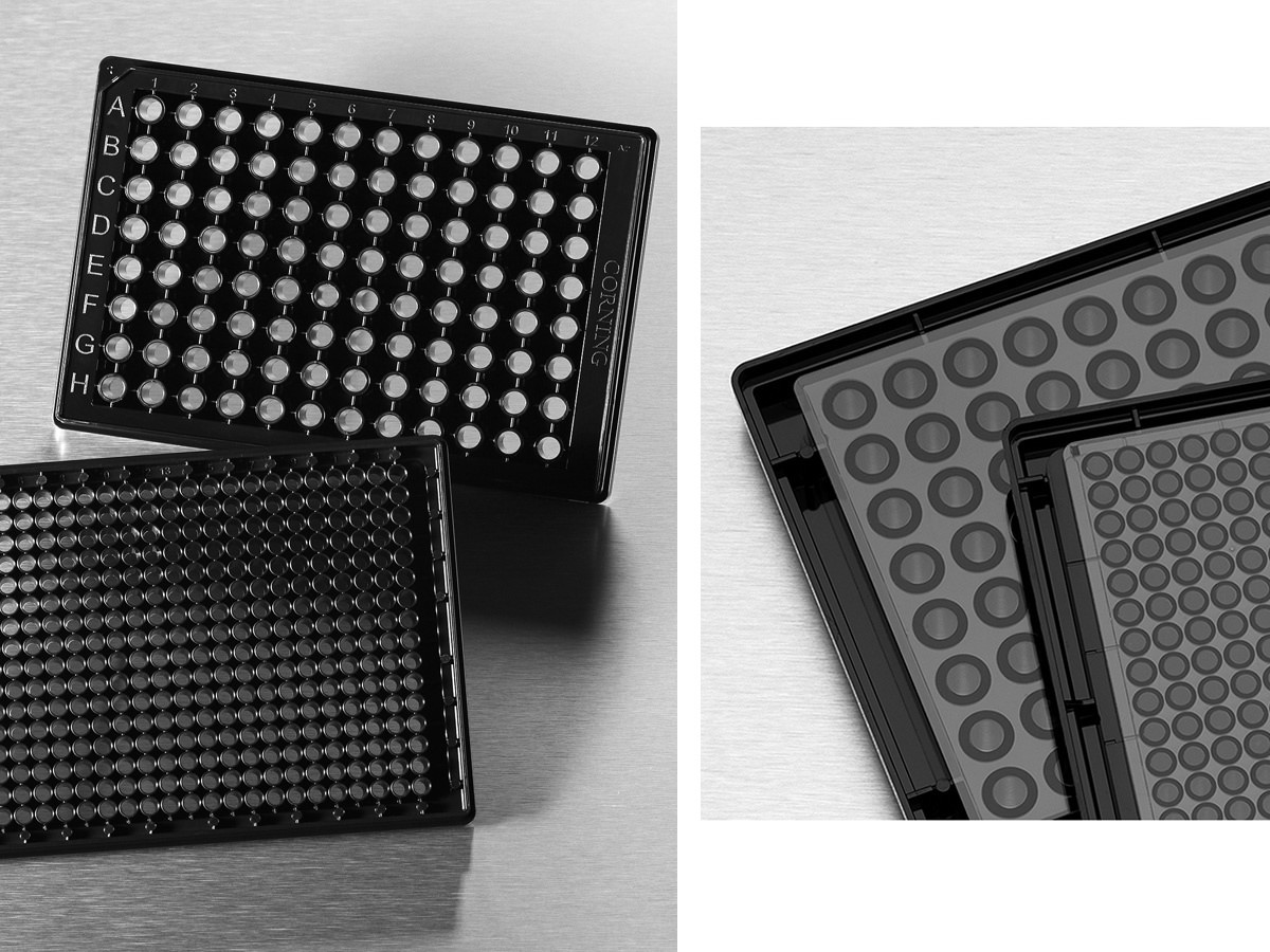 product.zoom.1200 (70) |