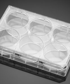 Falcon® 6-well Cell Clear Flat Bottom TC-treated Multiwell Culture Plate; with Lid; Sterile; 10/Pack; 60/Case