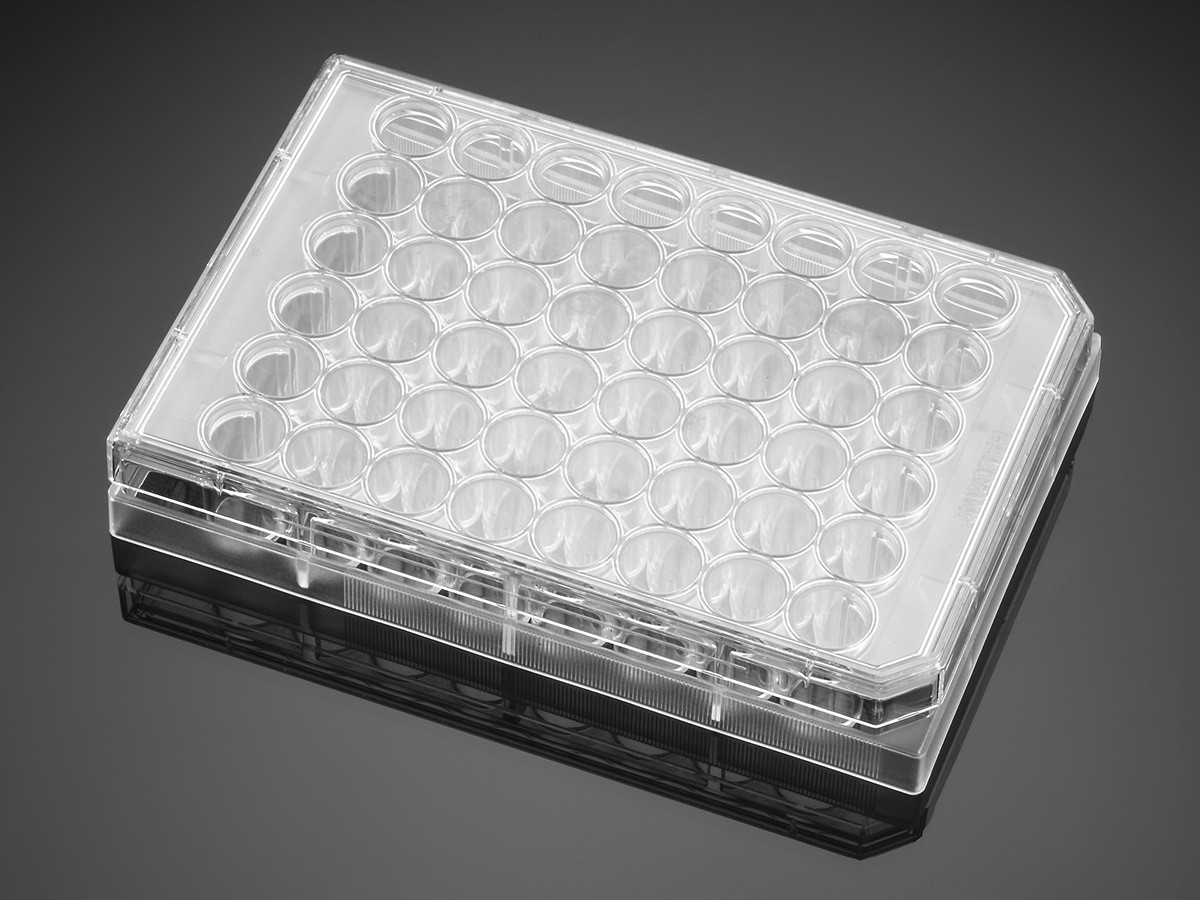 product.zoom.1200 (72) |