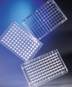 HTS Transwell-96 1.0 µm Pore Polyester Membrane | Sterile