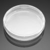 Falcon® 60mm TC-Treated Cell Culture Dish – Steril 20/Pack 2 |
