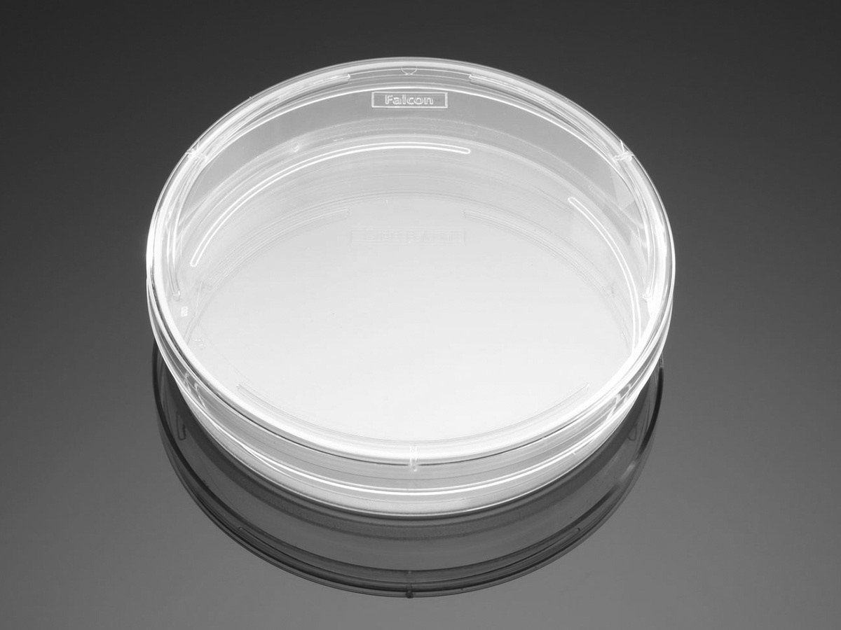 product.zoom.1200 (85) |