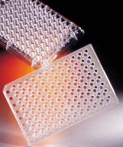 HTS Transwell-96 Permeable Support 8.0 µm Pore - Steril