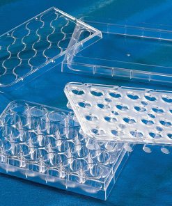HTS Transwell®-24-well Permeable Support – 3.0 µm Pore