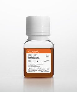 Media and Sera TYPE 35-010-CF