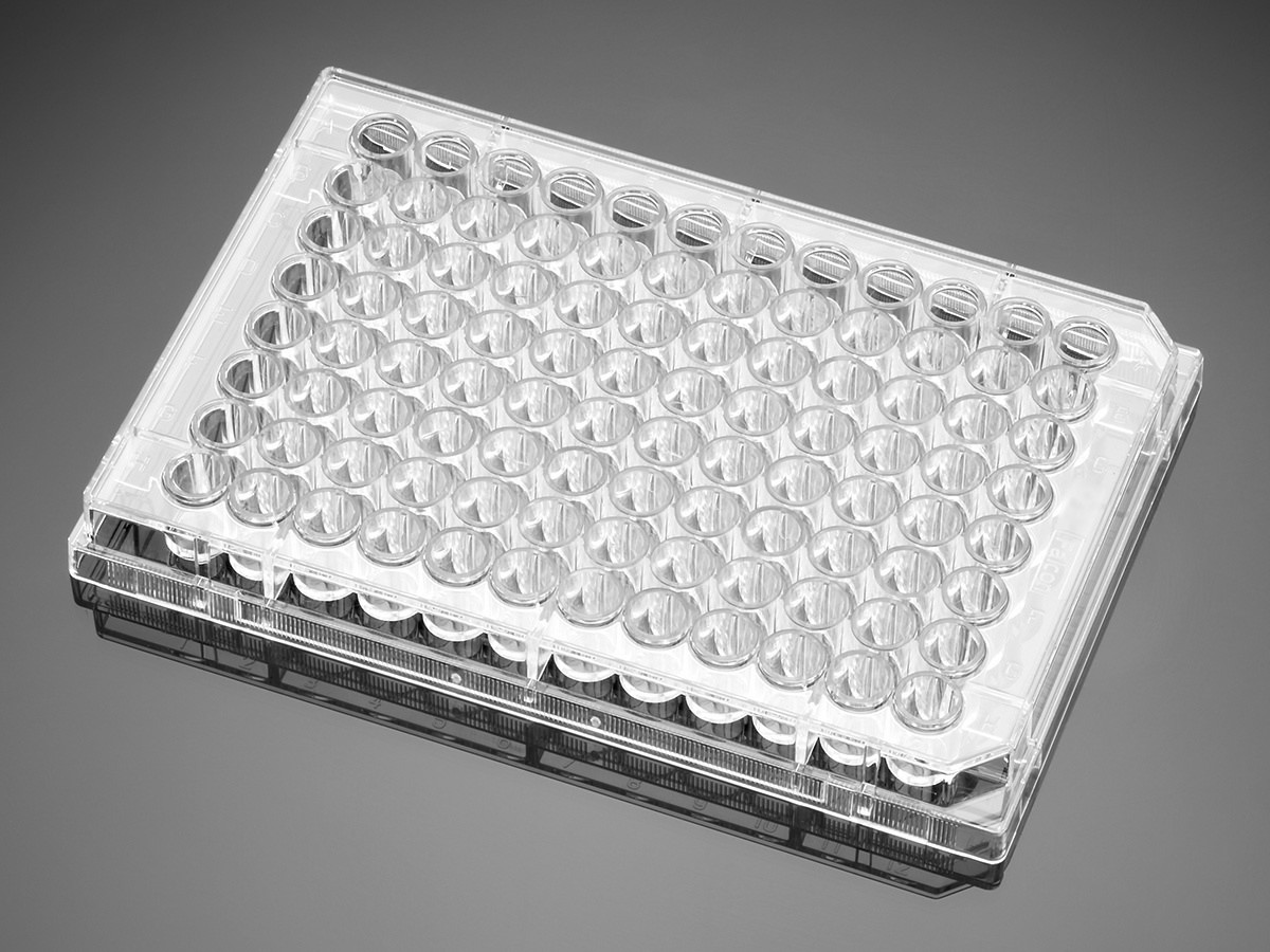 product.zoom.1200 (92) |