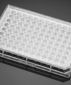 Falcon® 96-Well Microplate TC-Treated | Cell Culture Sterile