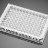Falcon® 96-Well Microplate Sterile TC-Treated Culture Plate 1 |