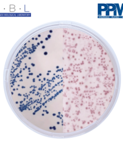 PPM (Prepare Plate Media) DAN LOGO E.COLI-COLIFORM CHROMOGENIC PPM 991