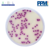 PPM (Prepare Plate Media) DAN LOGO SALMONELLA CHROMOGENIC AGAR PPM 891 1 |