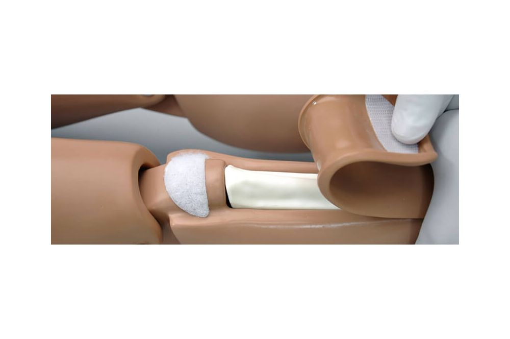 5year_s157_io_leg_banner__22231_2 |
