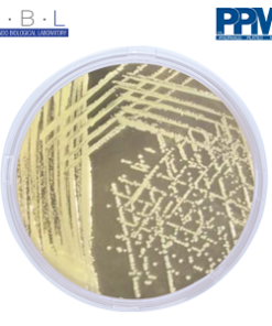 PPM (Prepare Plate Media) DAN LOGO STANDARD METHOD AGAR PPM 903
