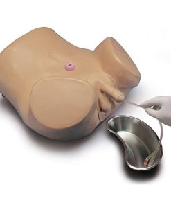 GAUMARD Simulator Kateterisasi Pria dan Wanita Perawatan Pasien Tingkat Lanjut (S230.10)