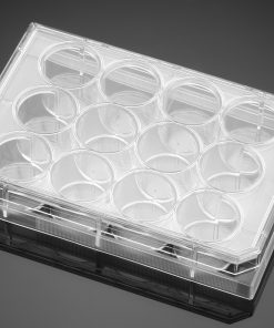 Falcon® 12-well TC-treated Polystyrene Permeable Support Companion Plate; with Lid; Sterile; 1/Pack; 50/Case